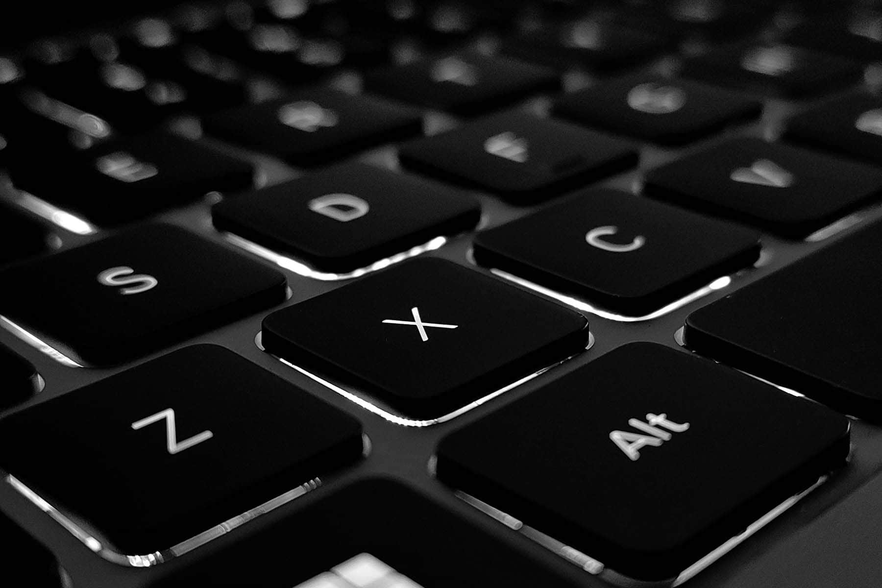 Фото: Aconitum, Unsplash.com