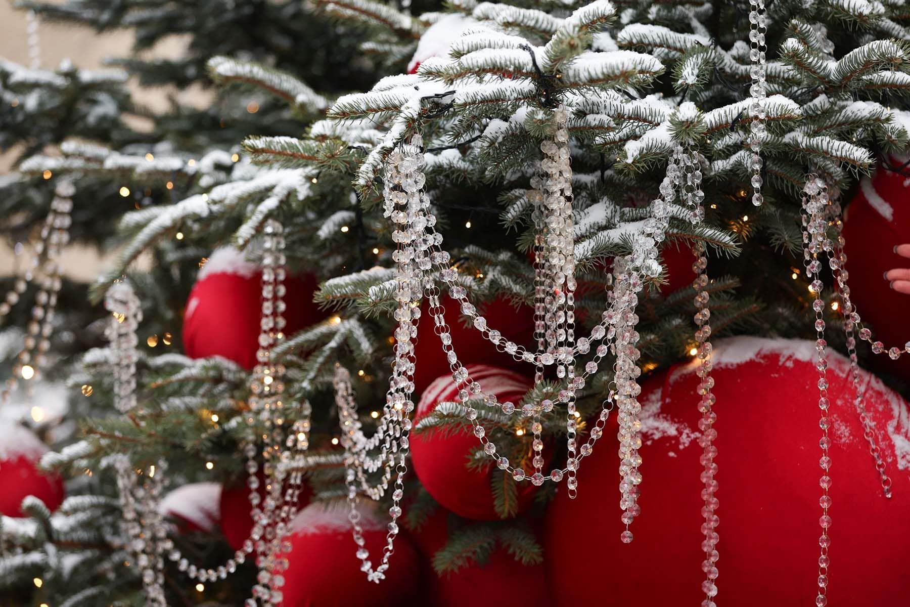 © Павел Орловский, Times.by