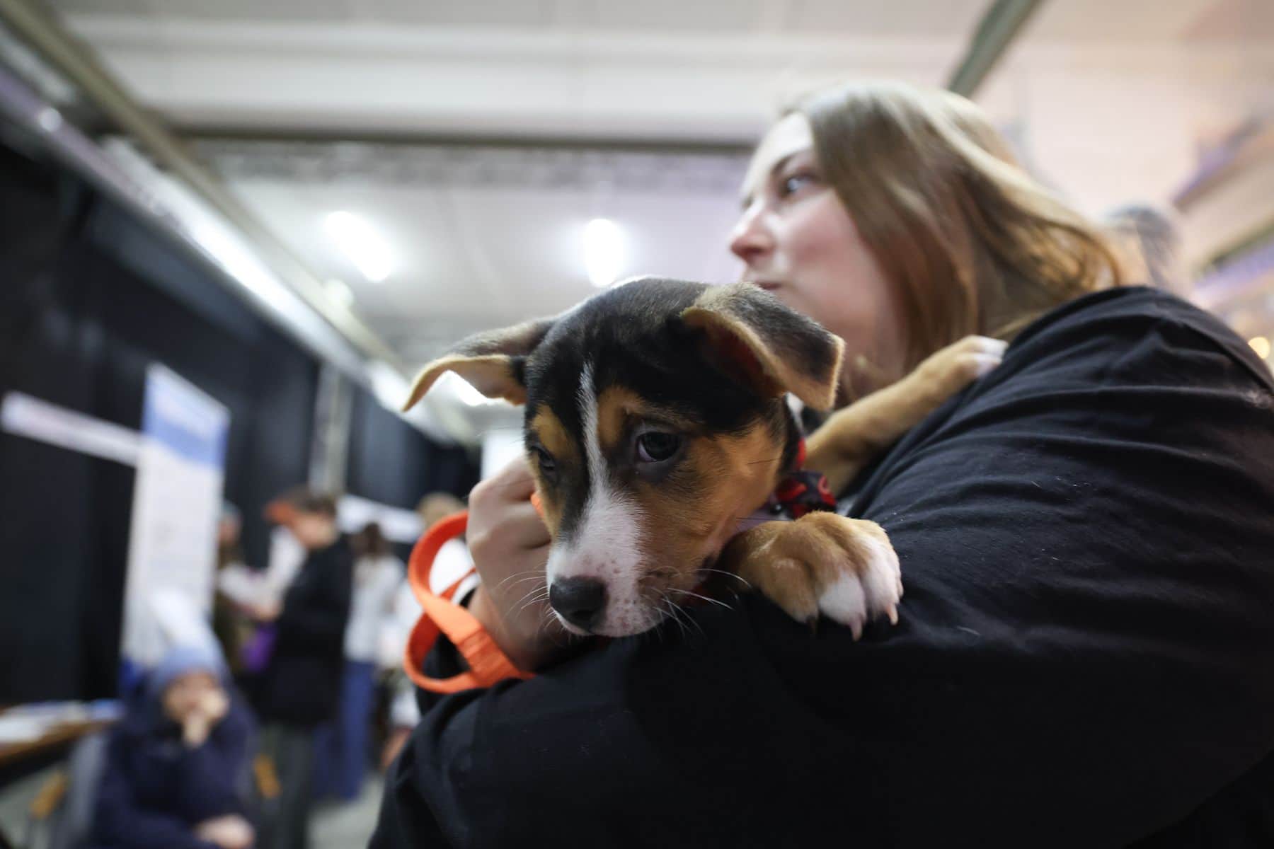 © Павел Орловский, Times.by