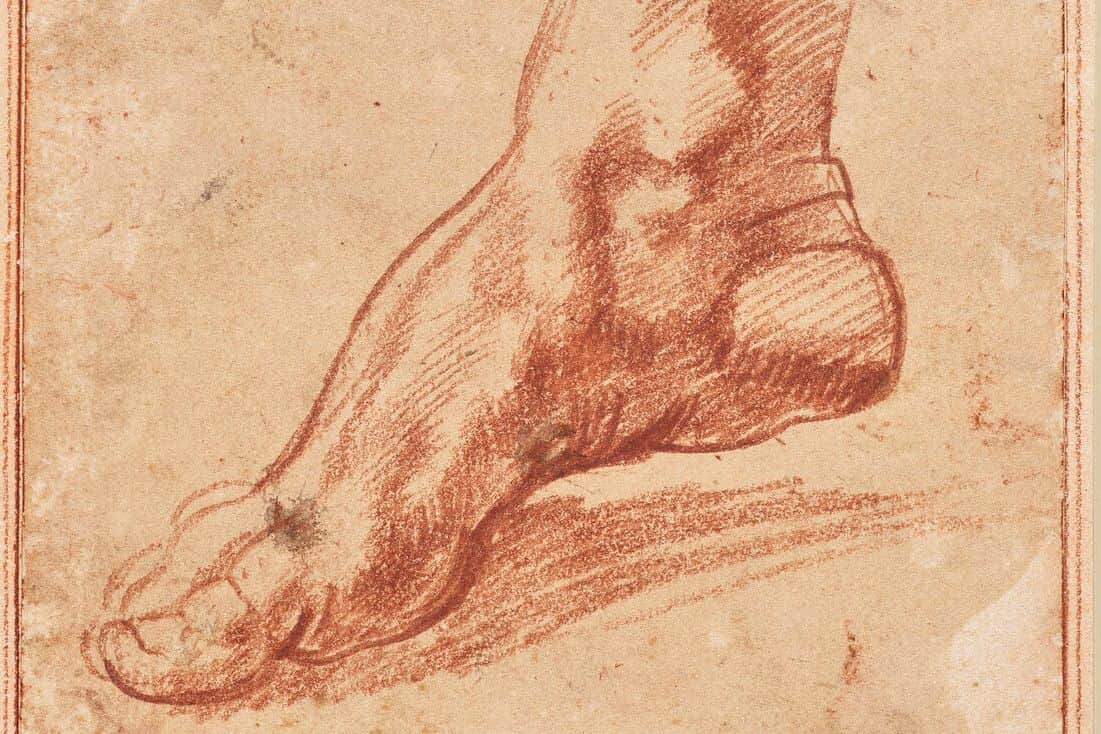 эскиз ступни, написанный Микеланджело