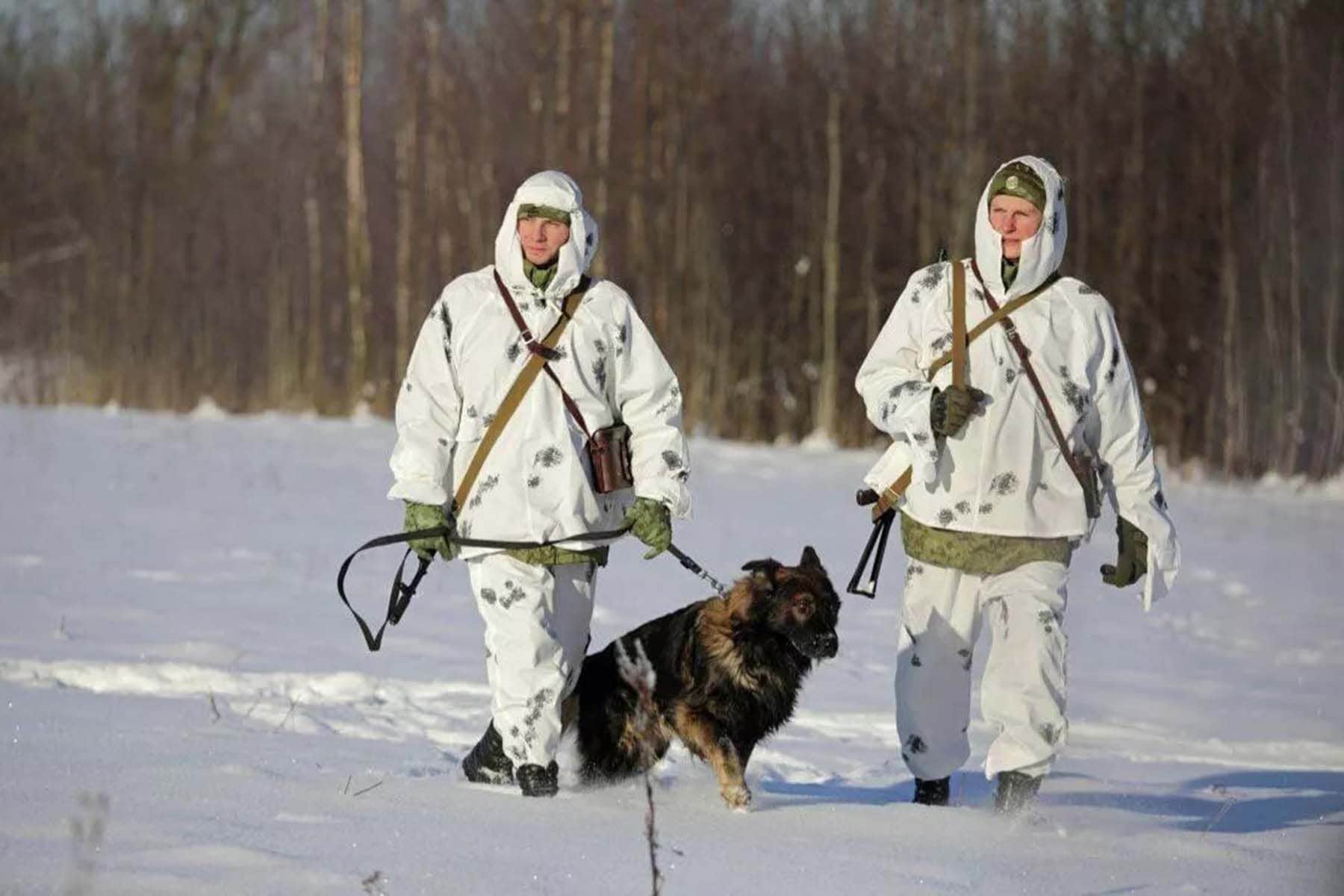 пограничники граница 