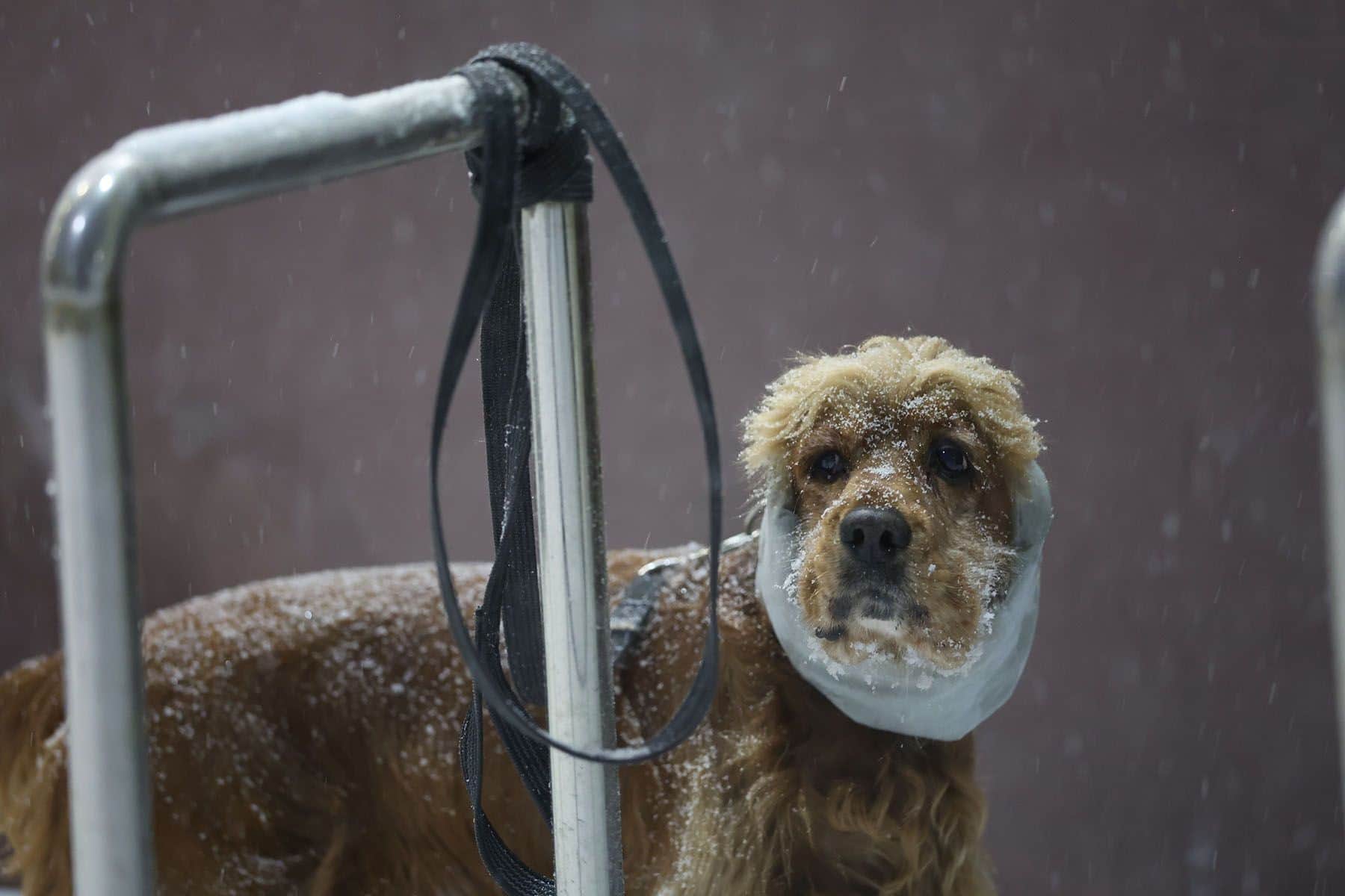 © Павел Орловский, Times.by