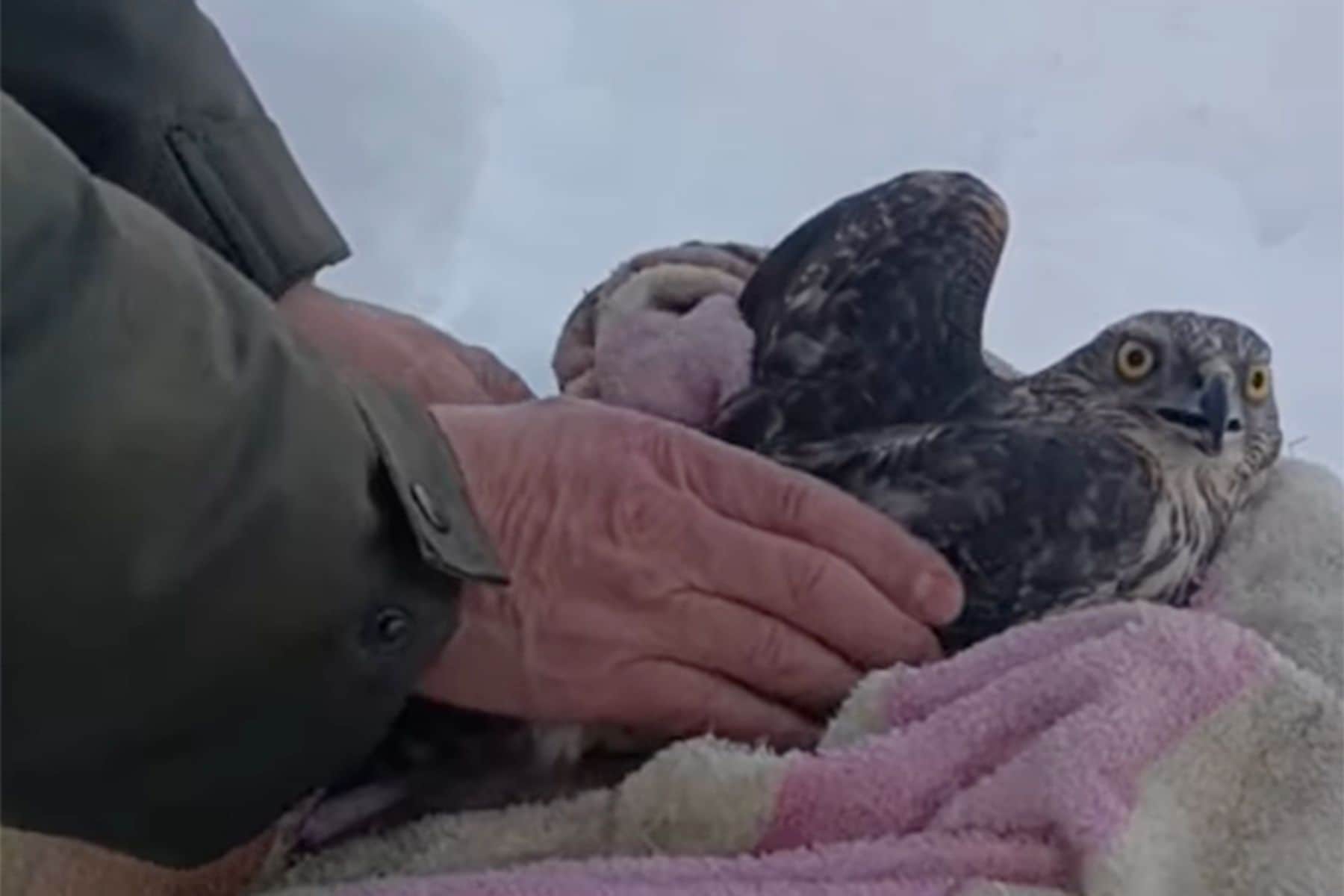 © MrBobrby, YouTube