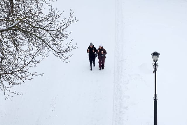 © Мария Амелина, Times.by