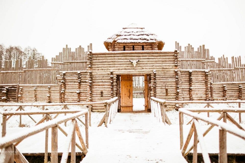 Археологический музей под открытым небом в Беловежской пуще. © Национальный парк «Беловежская пуща»