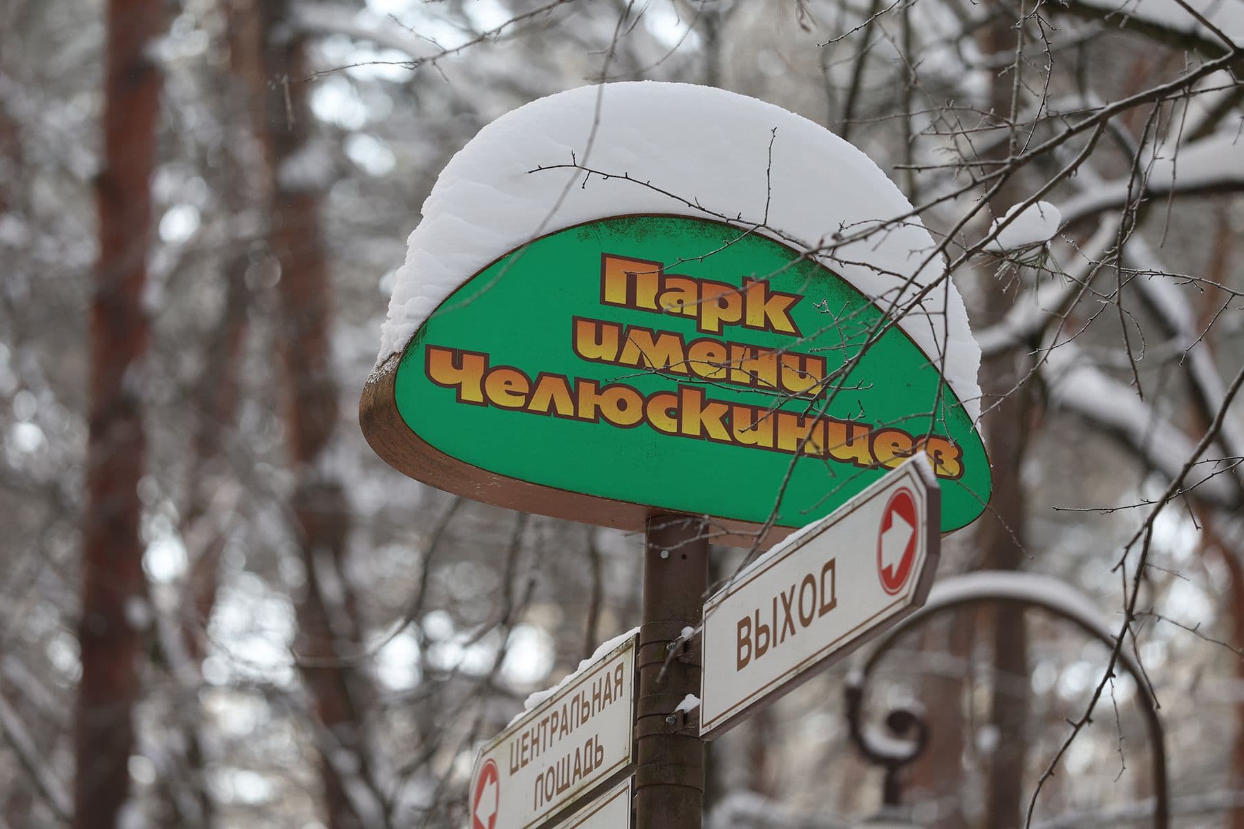 Парк имени Челюскинцев