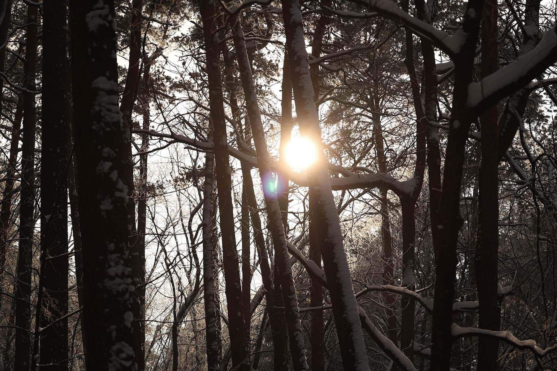 Зимнее солнце 