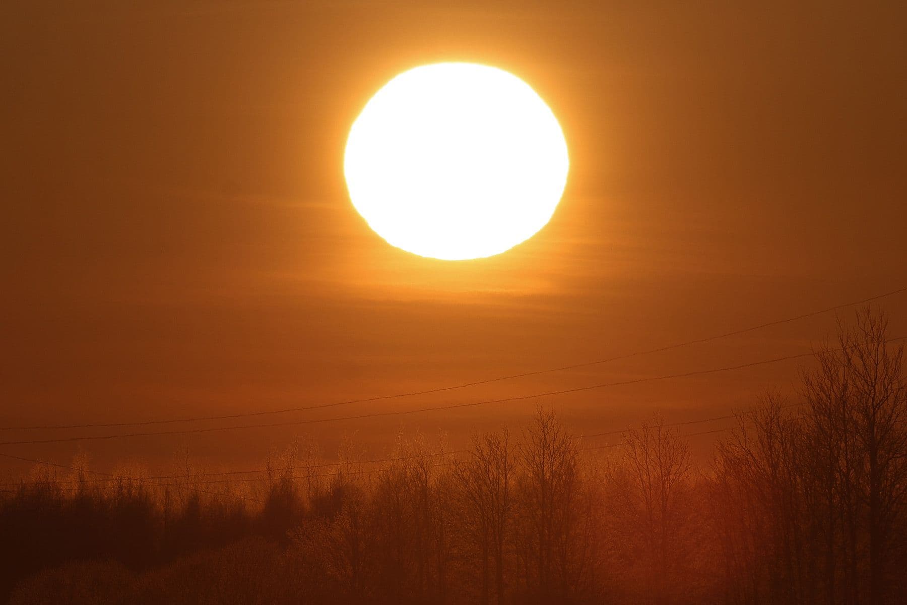 Солнце зимой