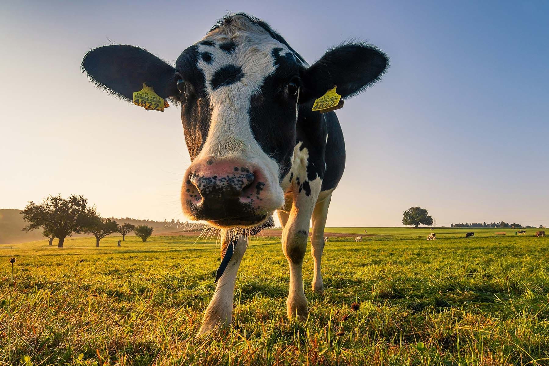 © Jan Huber, Unsplash.com