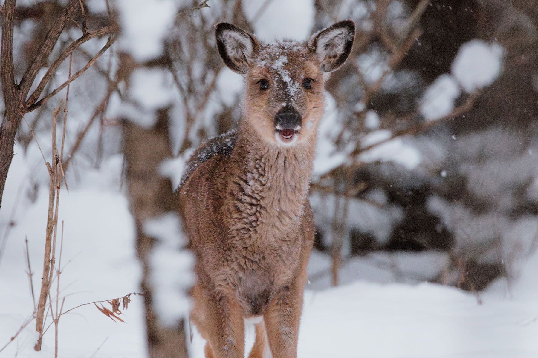 © Donnie Rosie, Unsplash.com