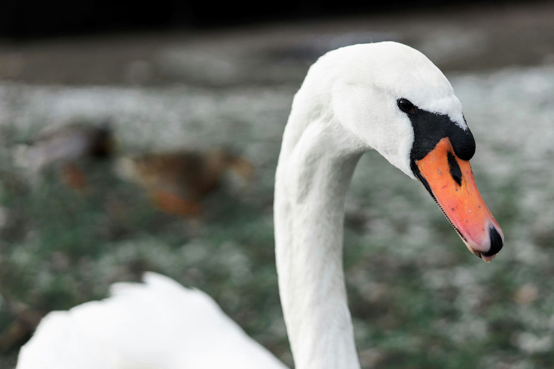 © Aksel Fristrup, Unsplash.com