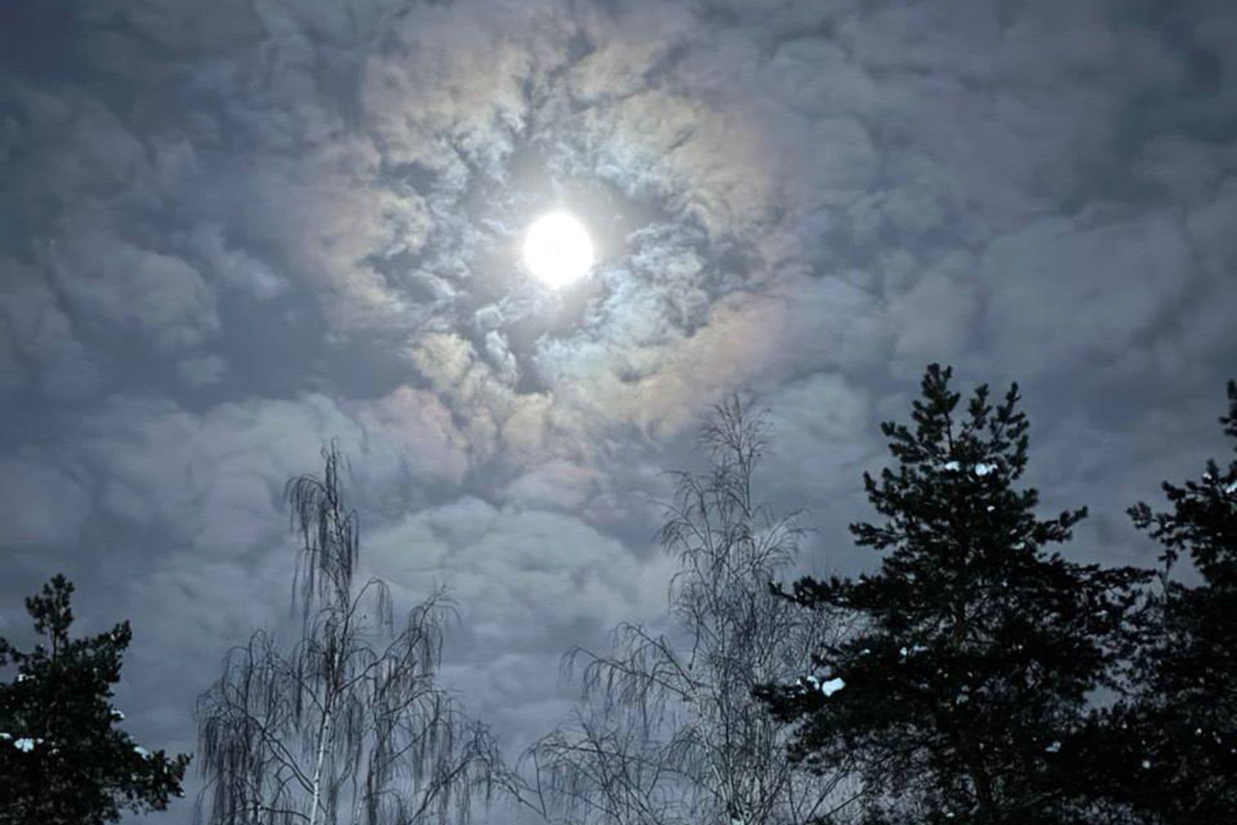 Снежная Луна