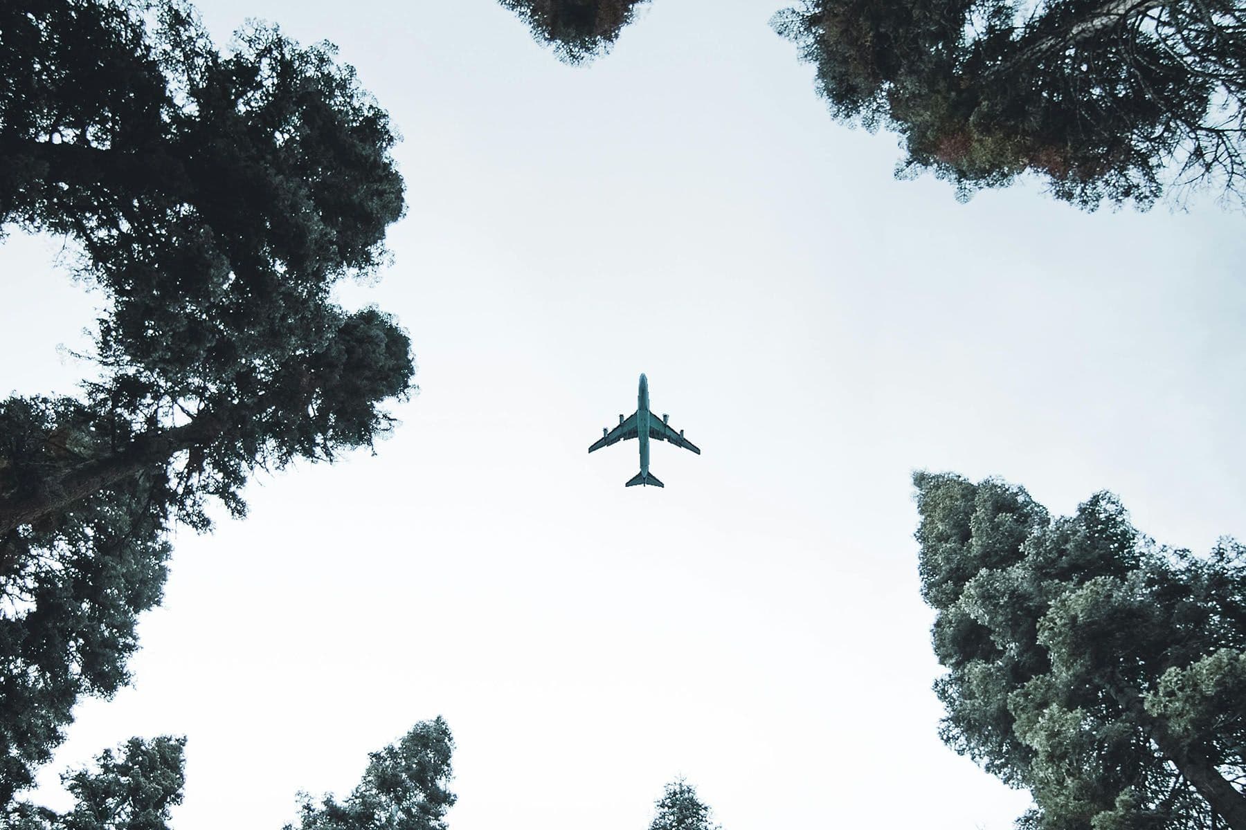 © Sam Willis, Pexels.com