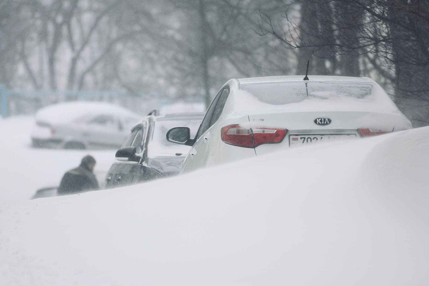 © Мария Амелина, Times.by