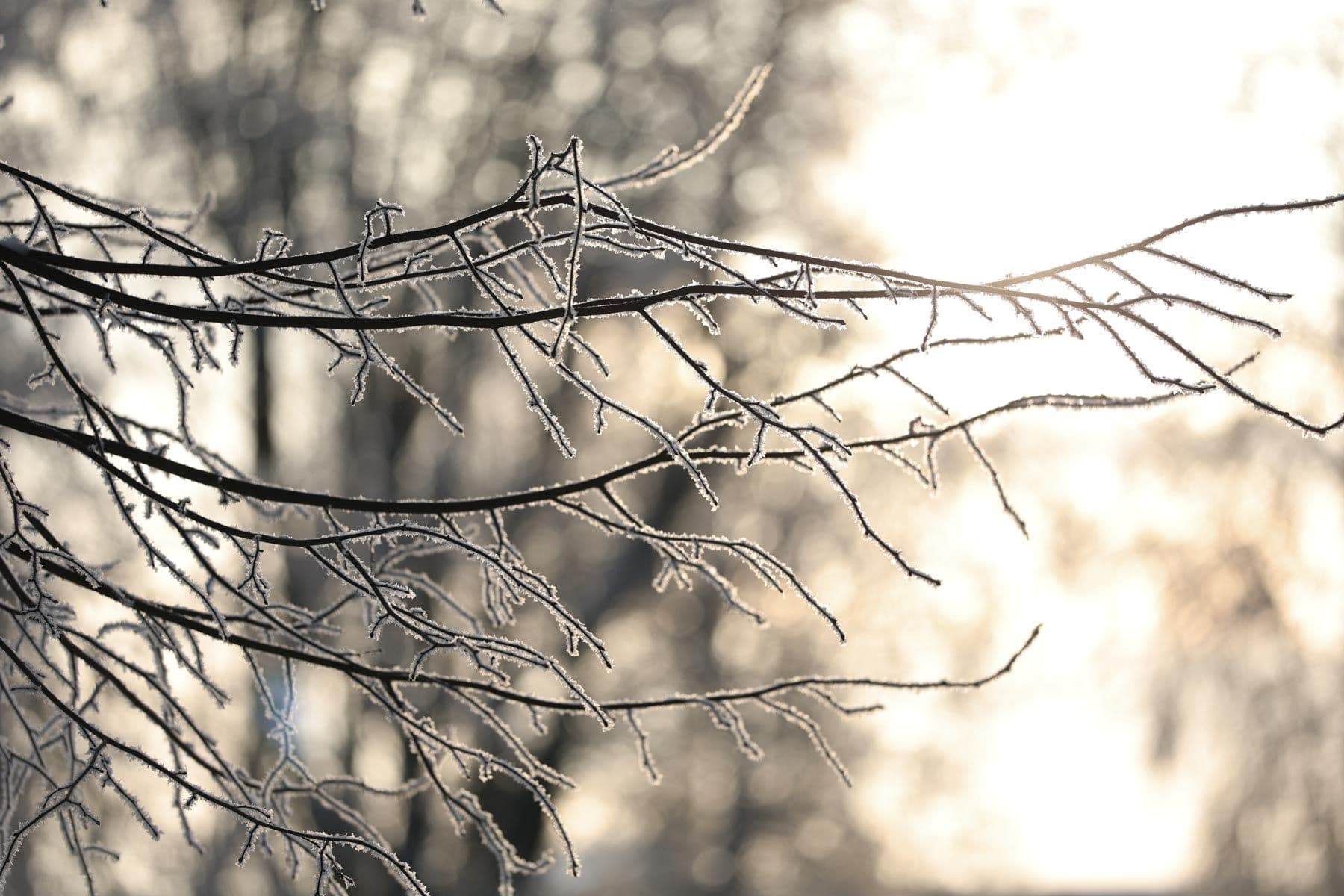 © Павел Орловский, Times.by