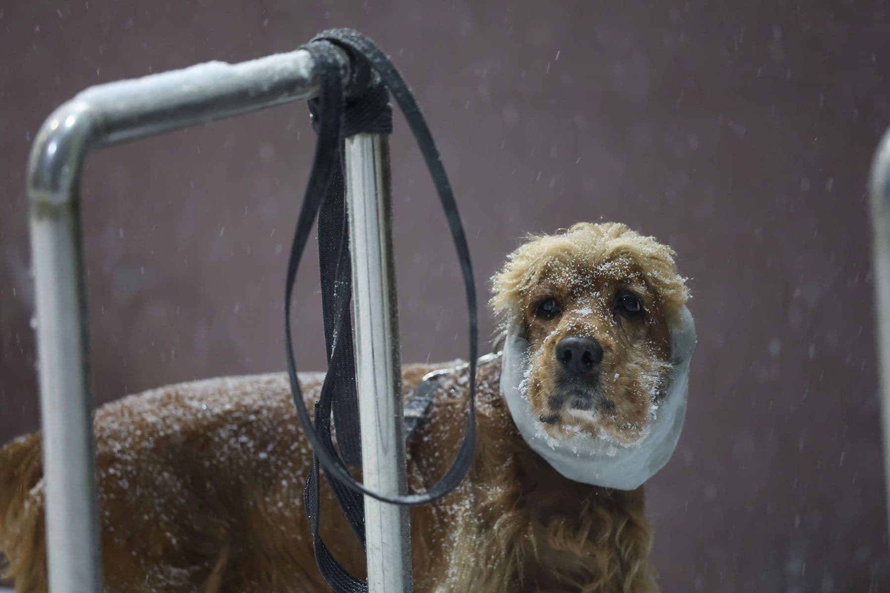 © Павел Орловский, Times.by