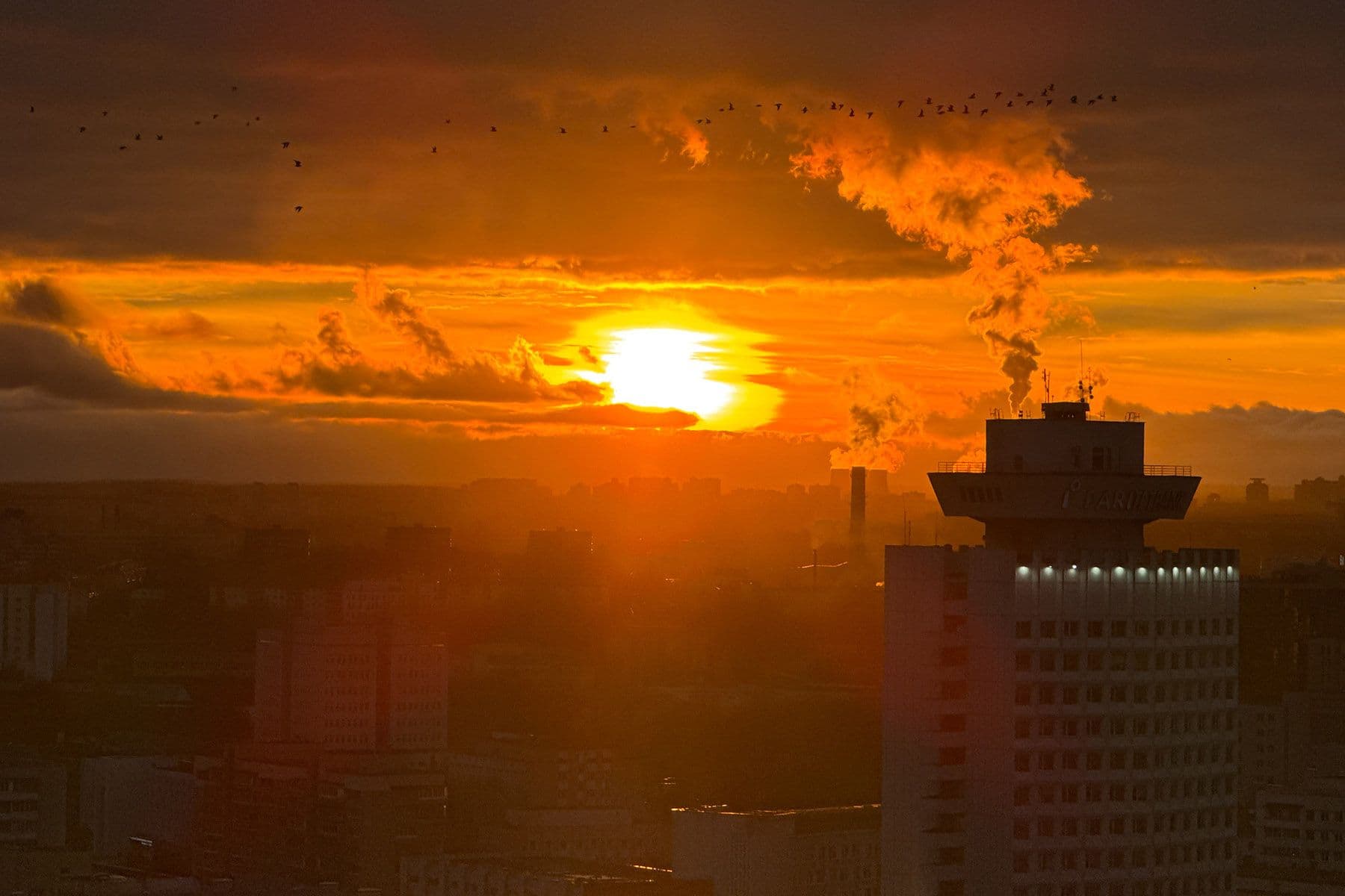 © Павел Орловский, Times.by