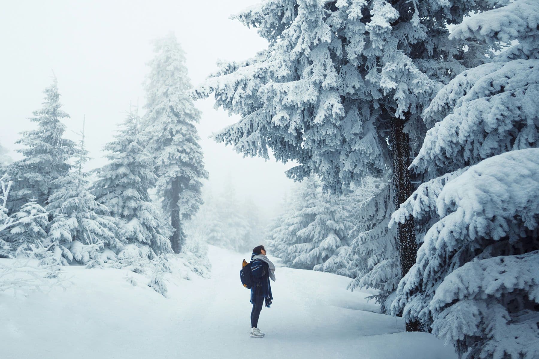 © Leandra Rieger, Unsplash.com