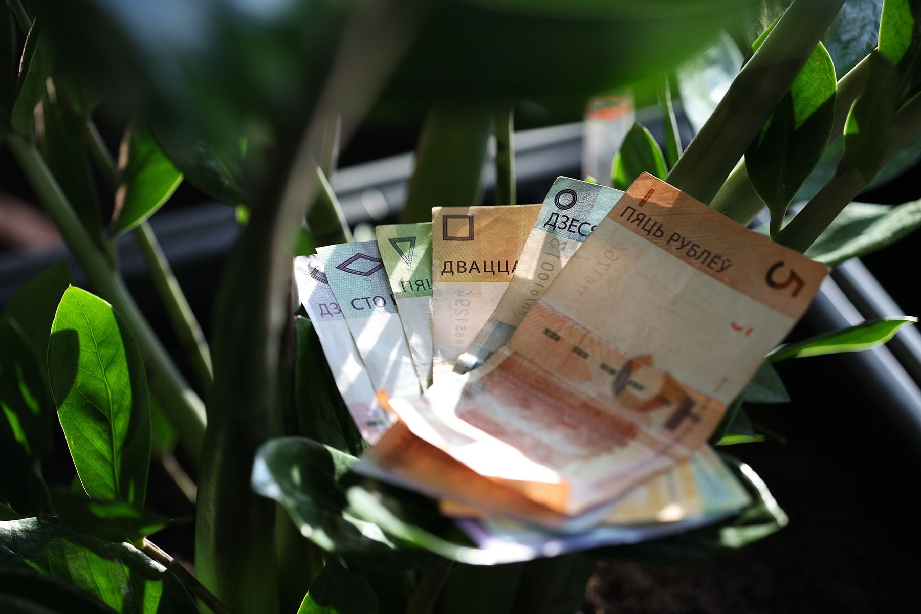 Белорусские рубли