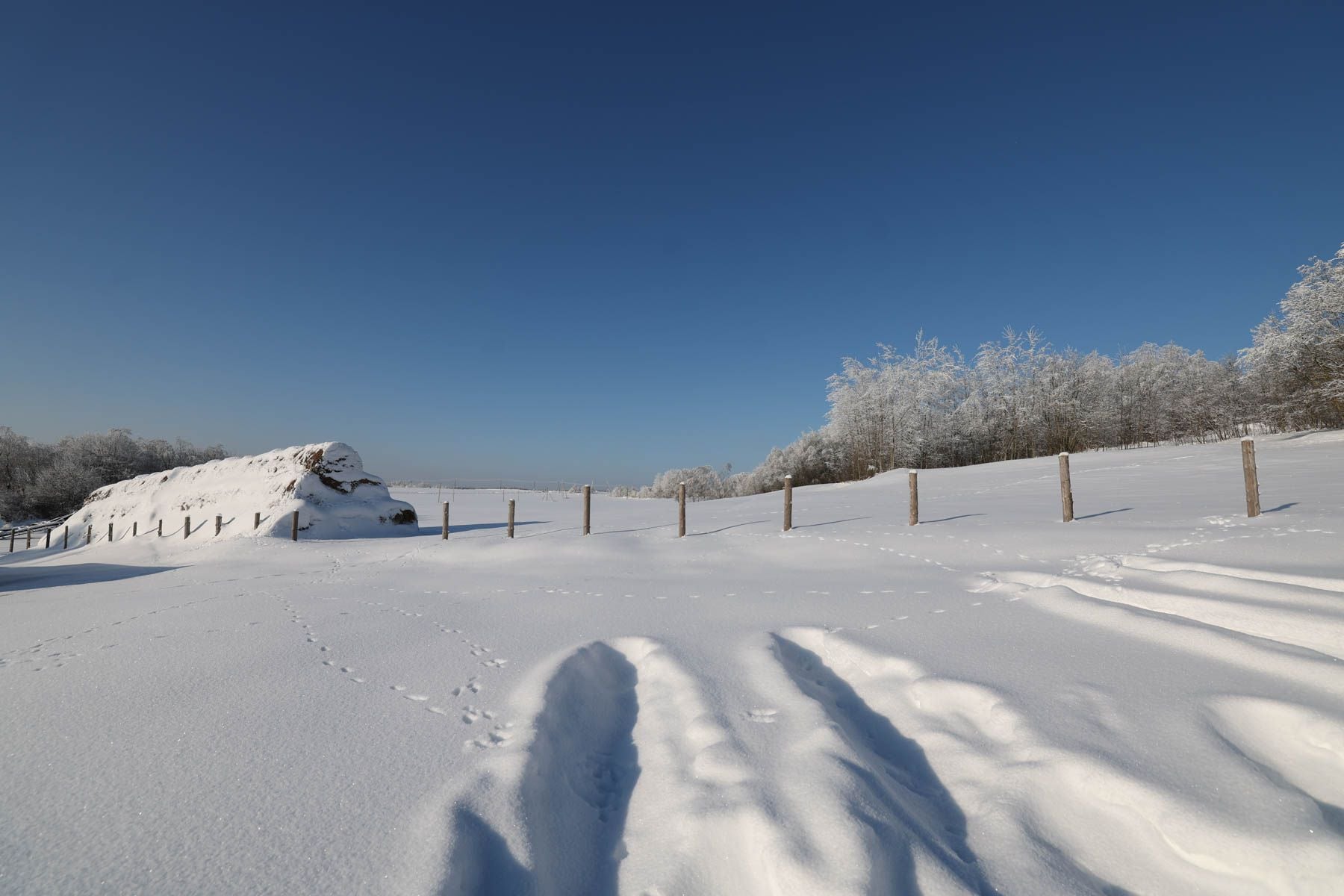 © Павел Орловский, Times.by