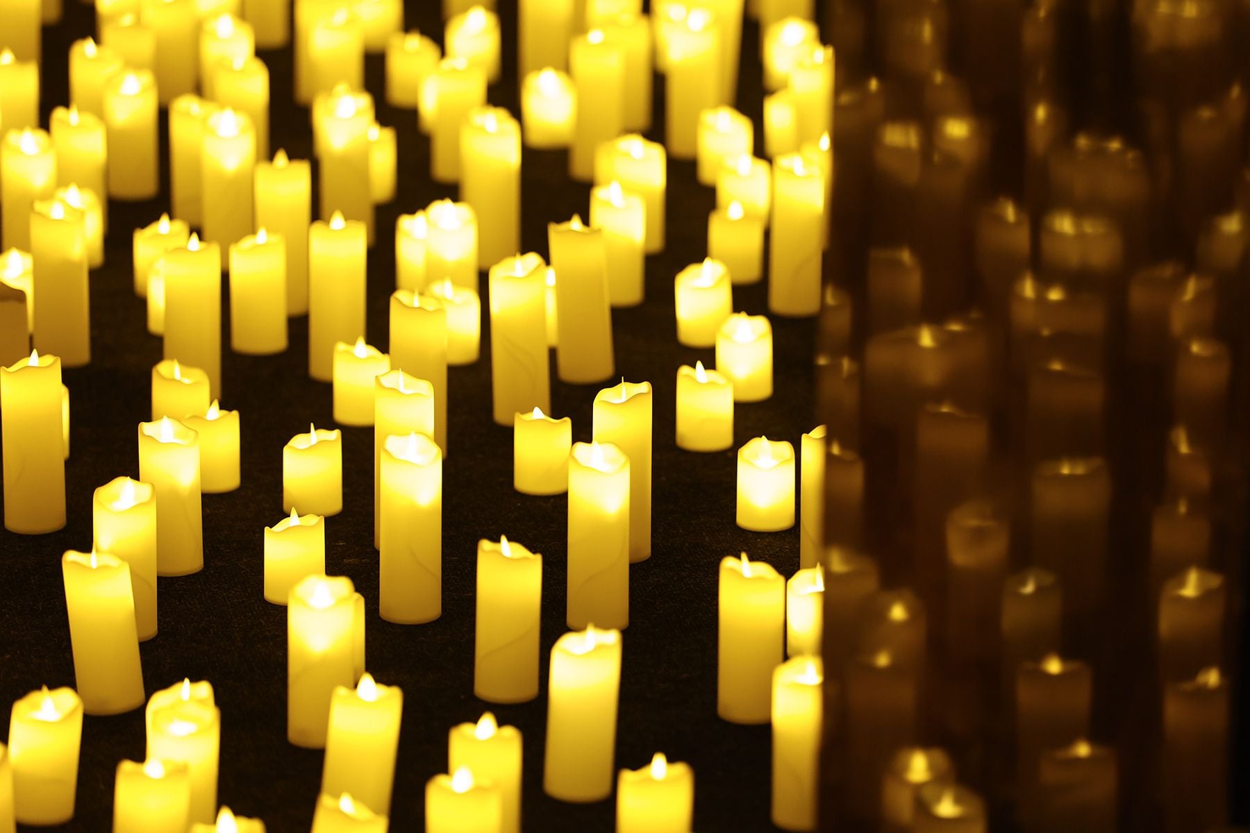 На концерте Александра Орловича