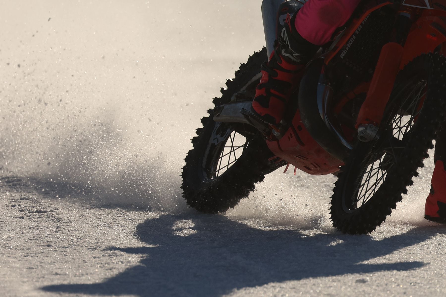 © Павел Орловский, Times.by