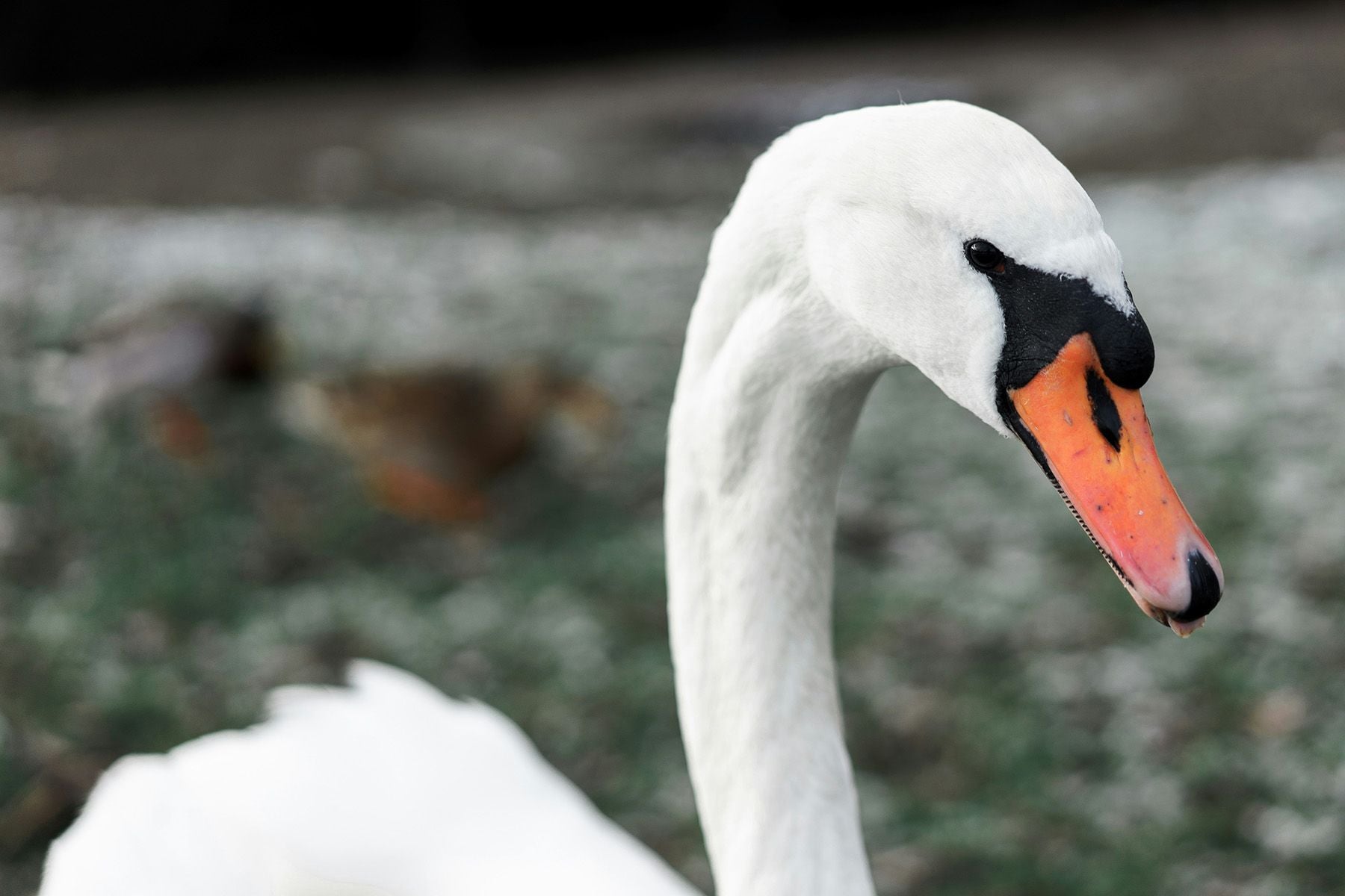 © Aksel Fristrup, Unsplash.com