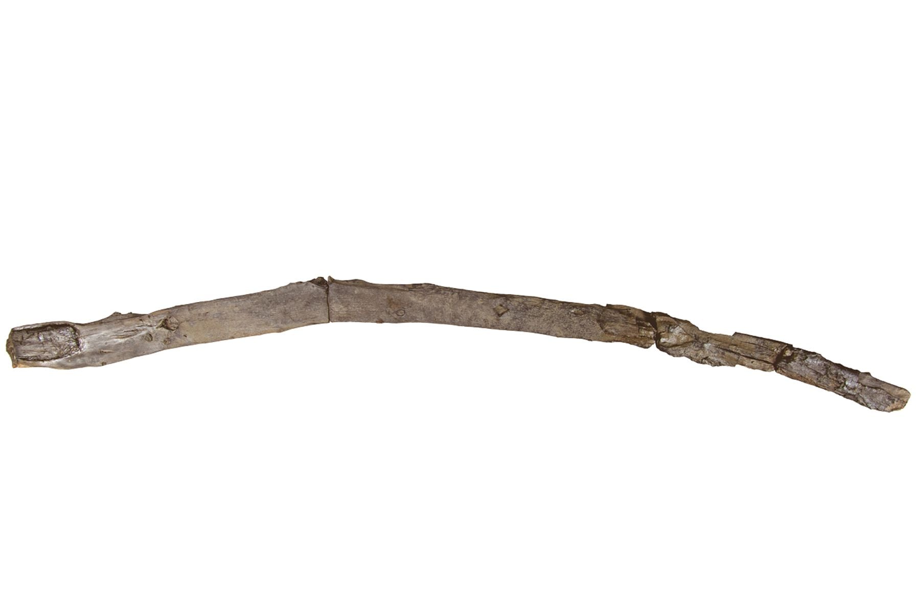 палка-копалка