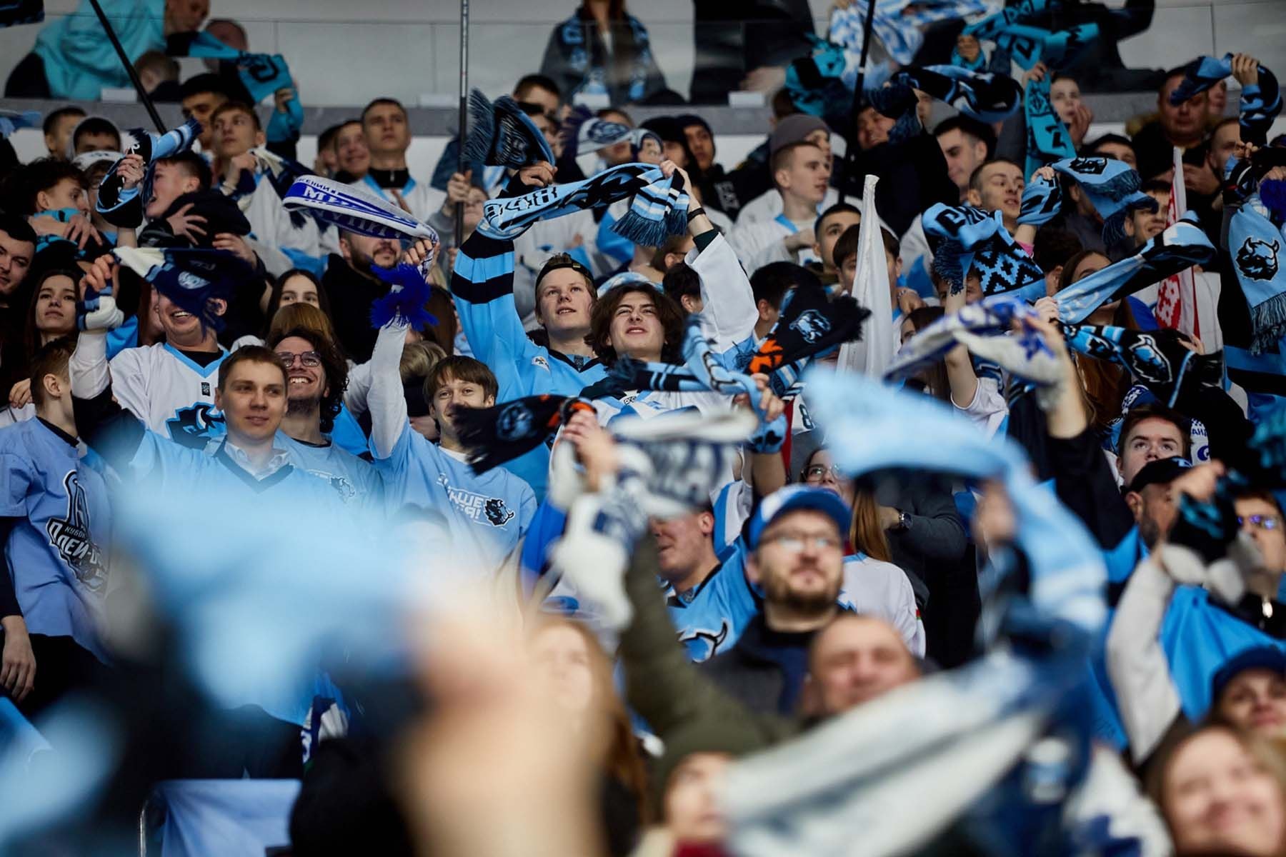 болельщики динамо