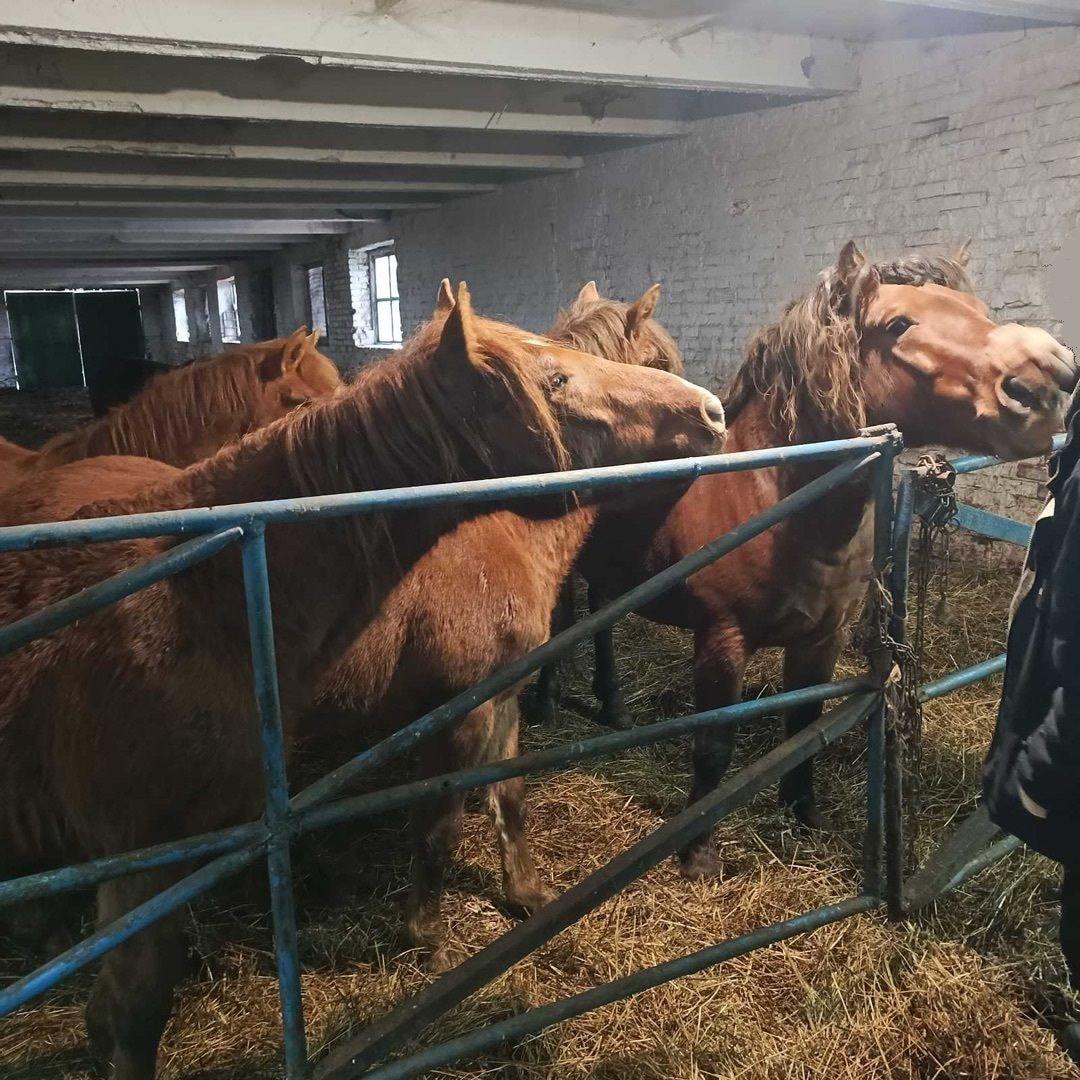 © Институт недвижимости и оценки