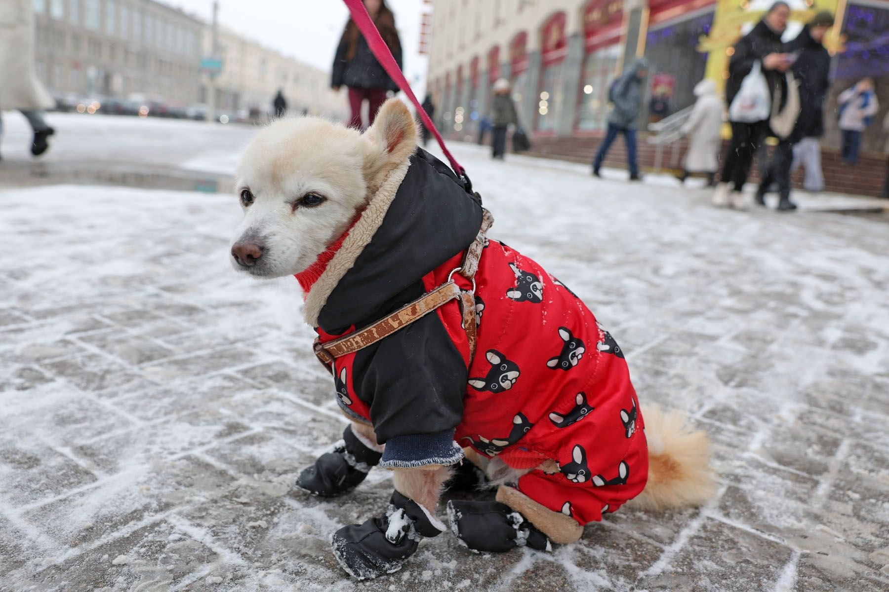 красный цвет