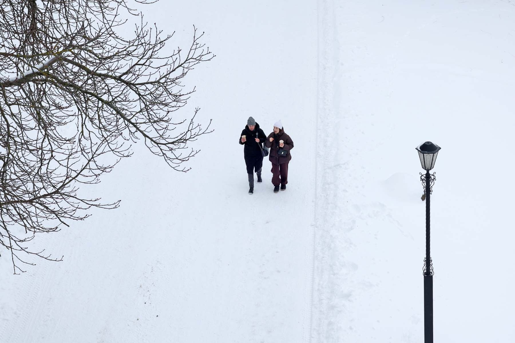 © Мария Амелина, Times.by