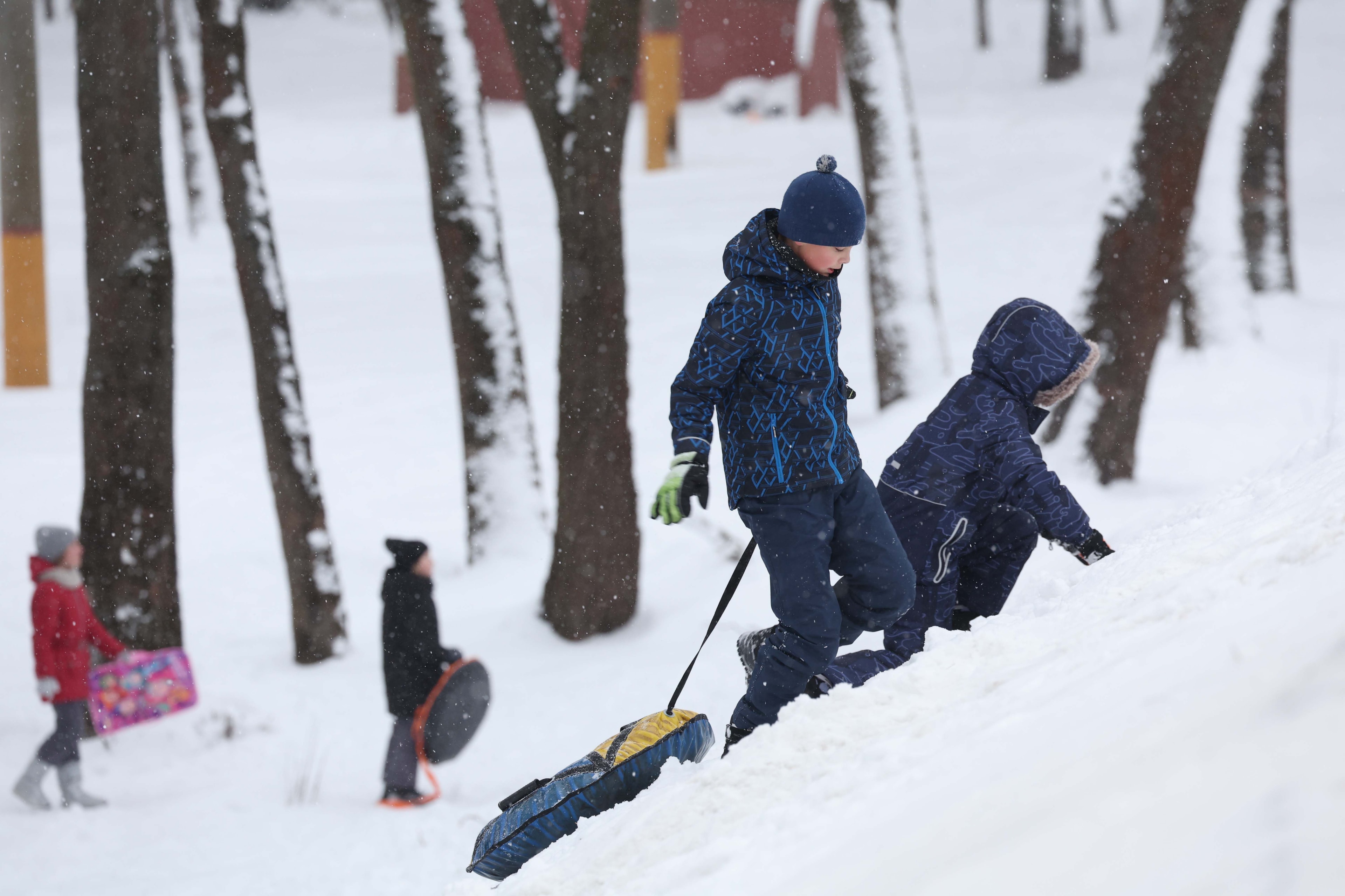 © Мария Амелина, Times.by