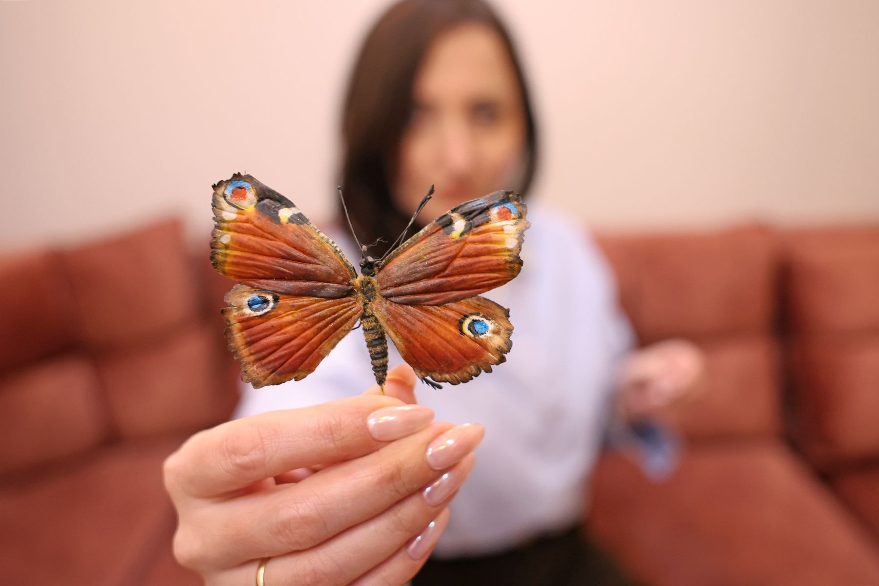 © Мария Амелина, Times.by