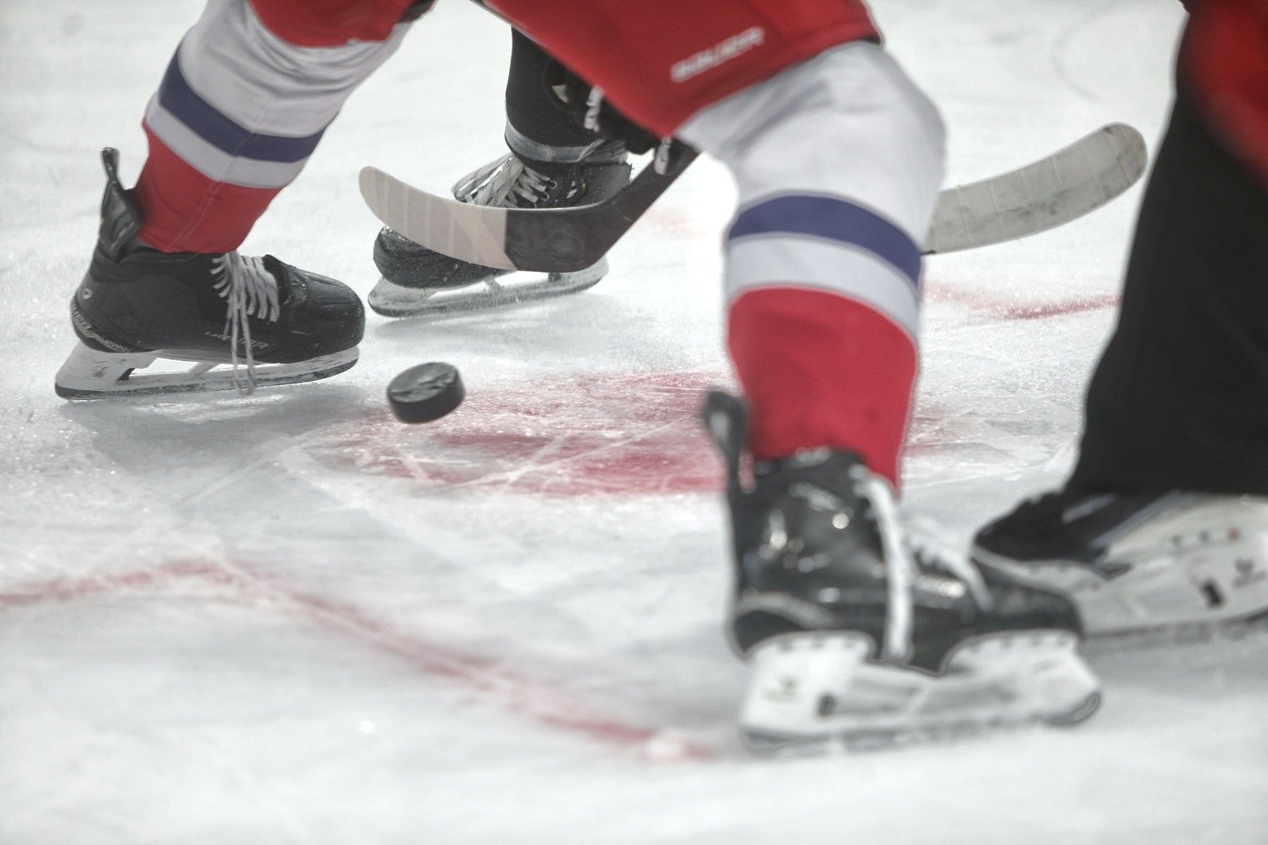 © Святослав Зоркий, Times.by