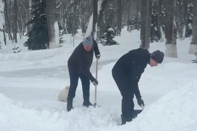 © Пул Первого, Telegram