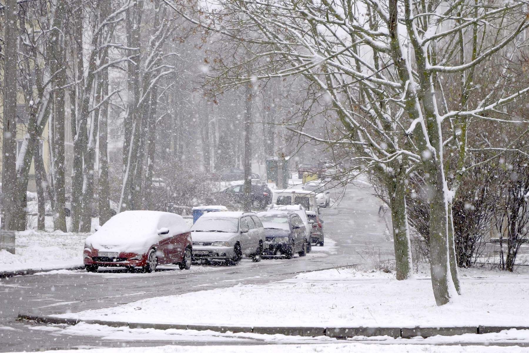 Фото: Максим Кураш, Times.by