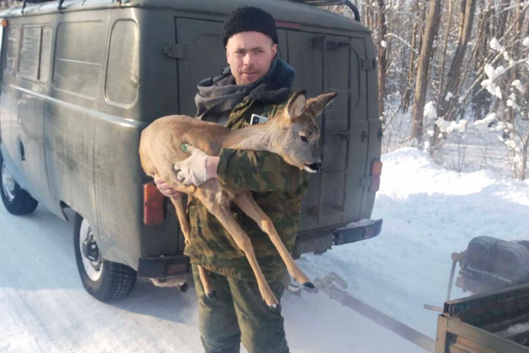 © Брестский лесной, Telegram