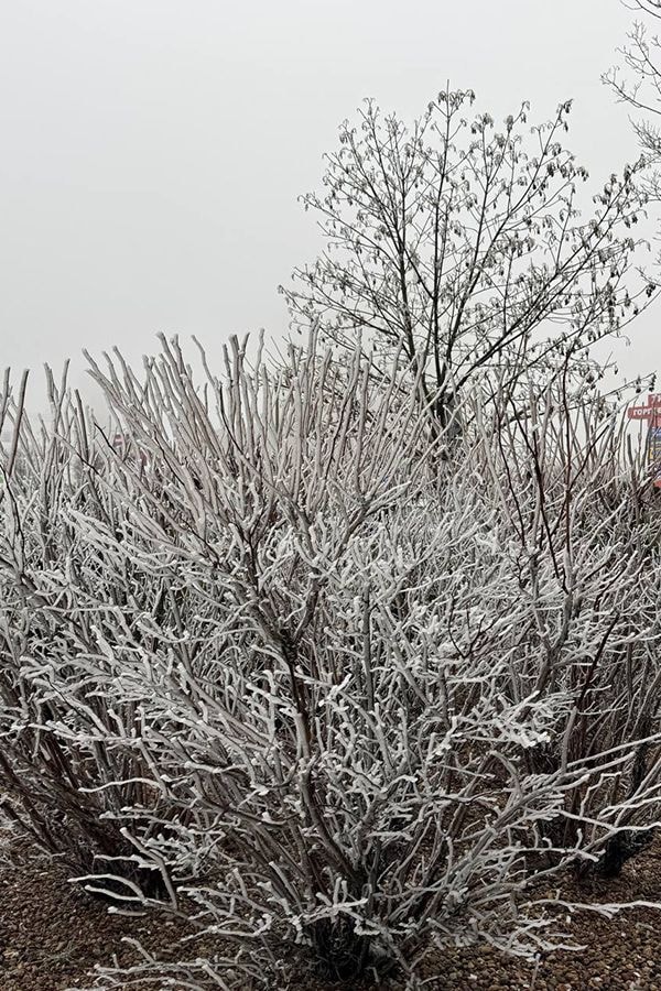 © Павел Орловский, Times.by