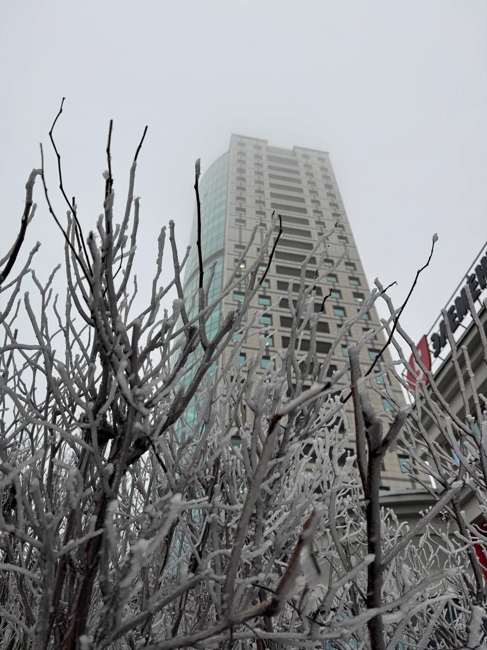 © Павел Орловский, Times.by