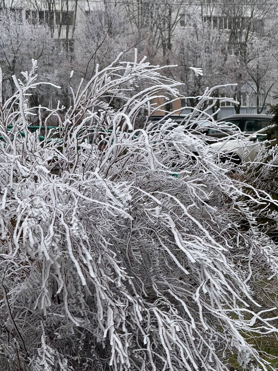 © Павел Орловский, Times.by