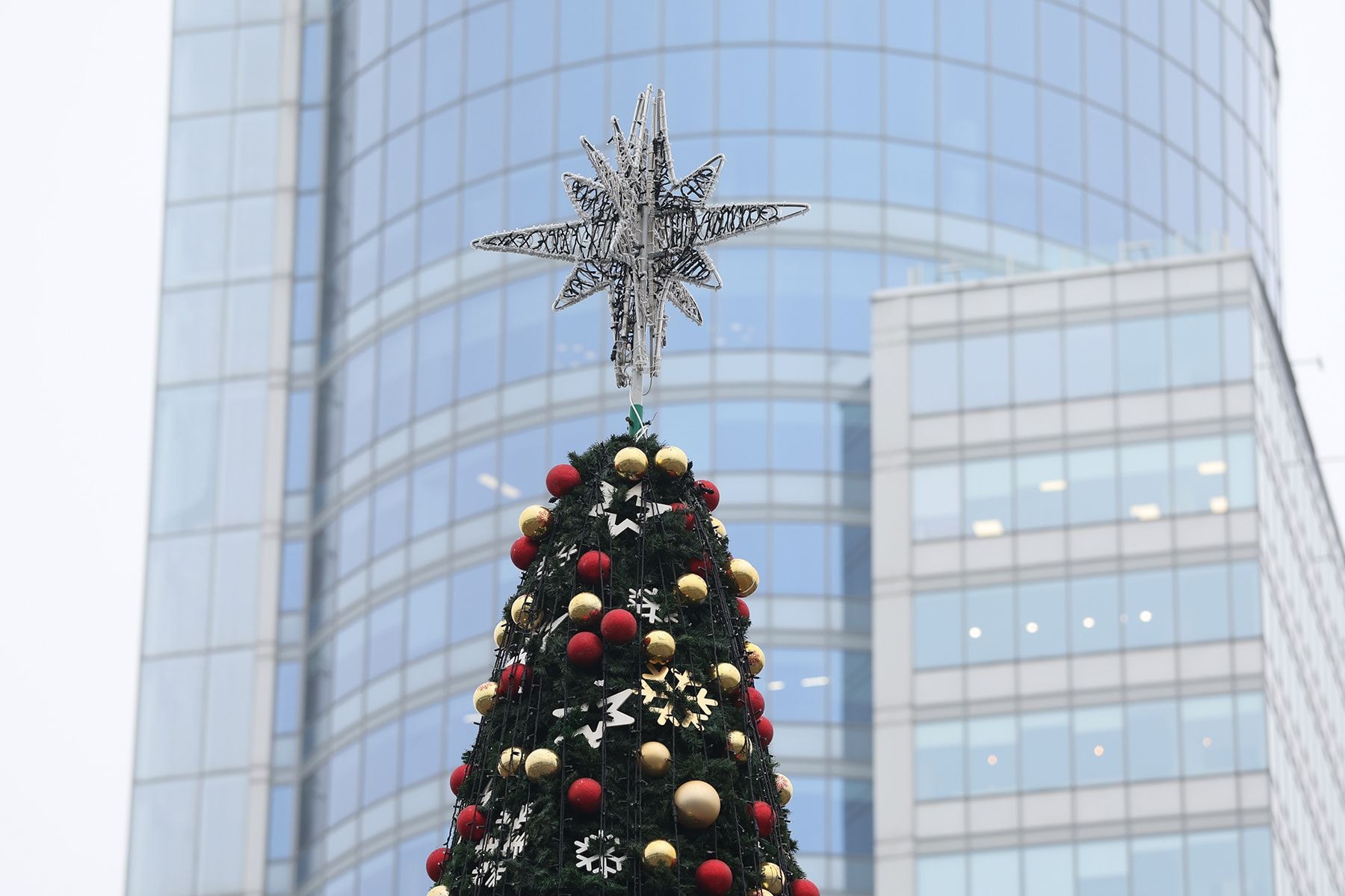 Елка у Дворца спорта