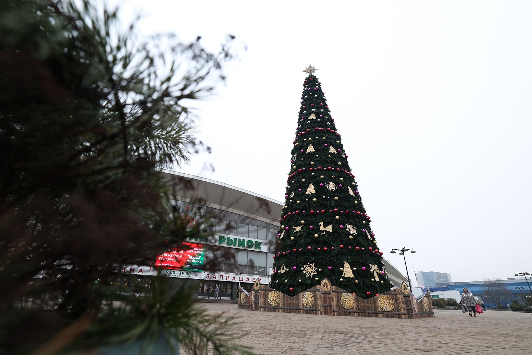 Елка на Комаровском рынке