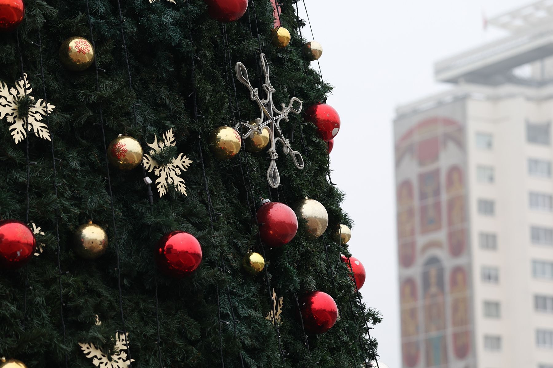 Елка у Национальной библиотеки