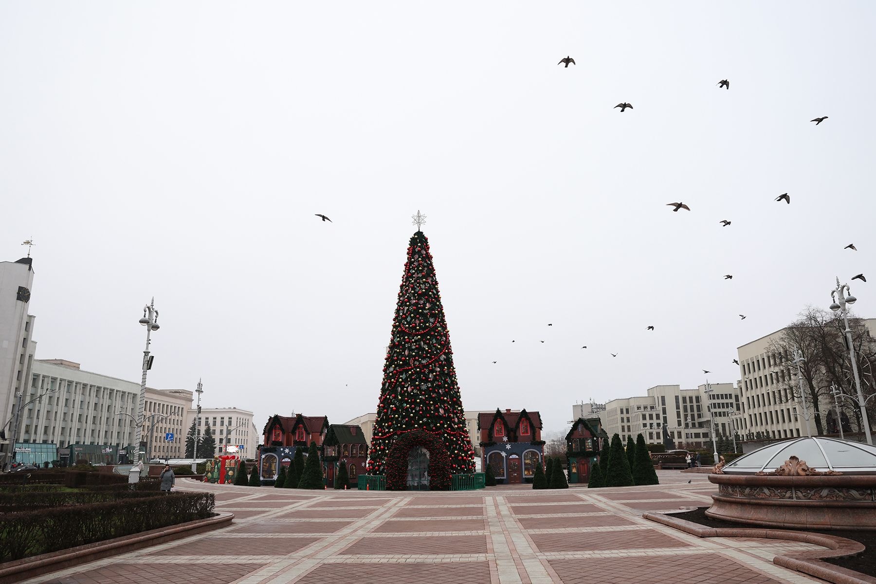 Елка на пл.Независимости