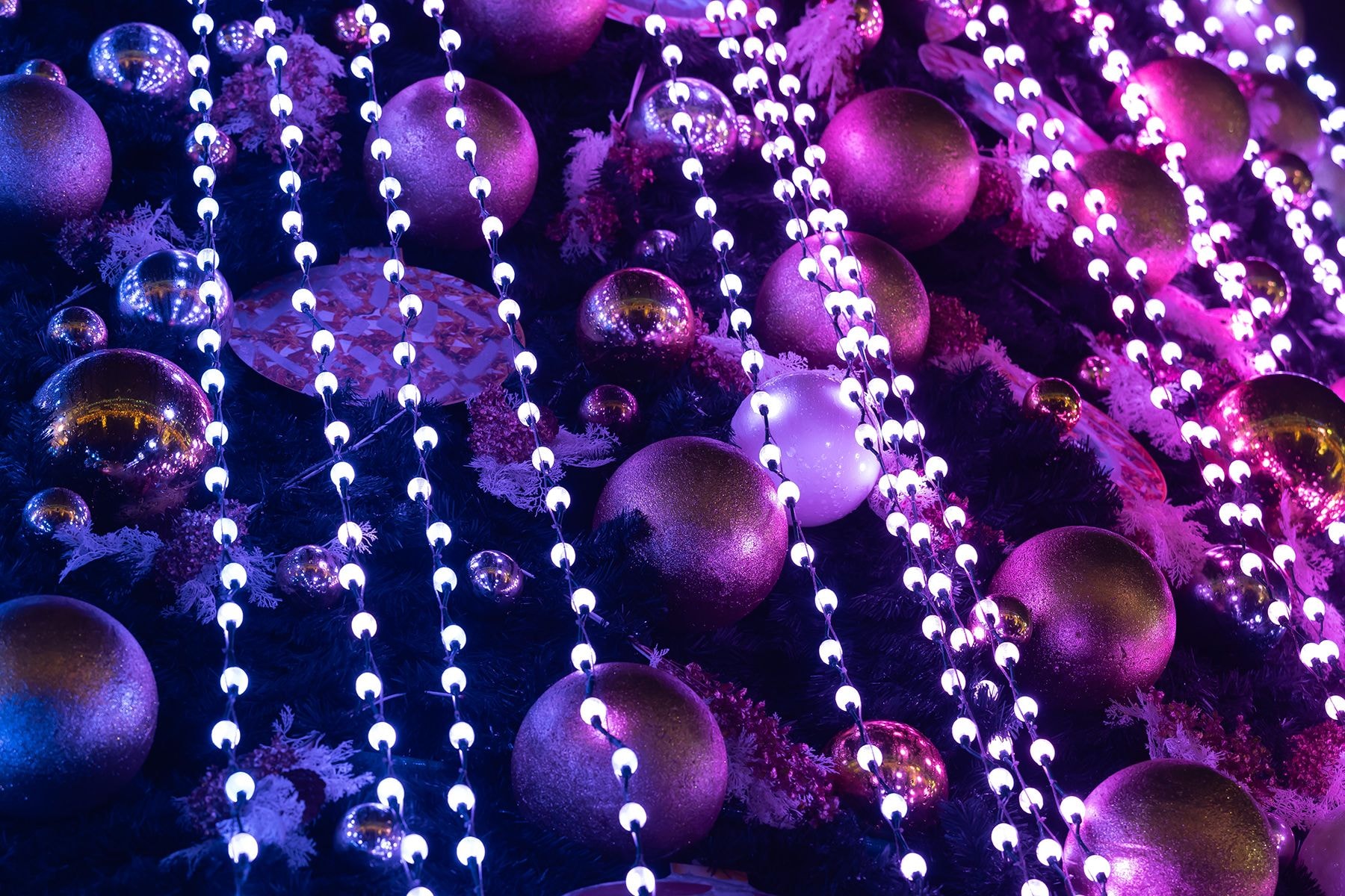 Елка на пл.Октябрьская