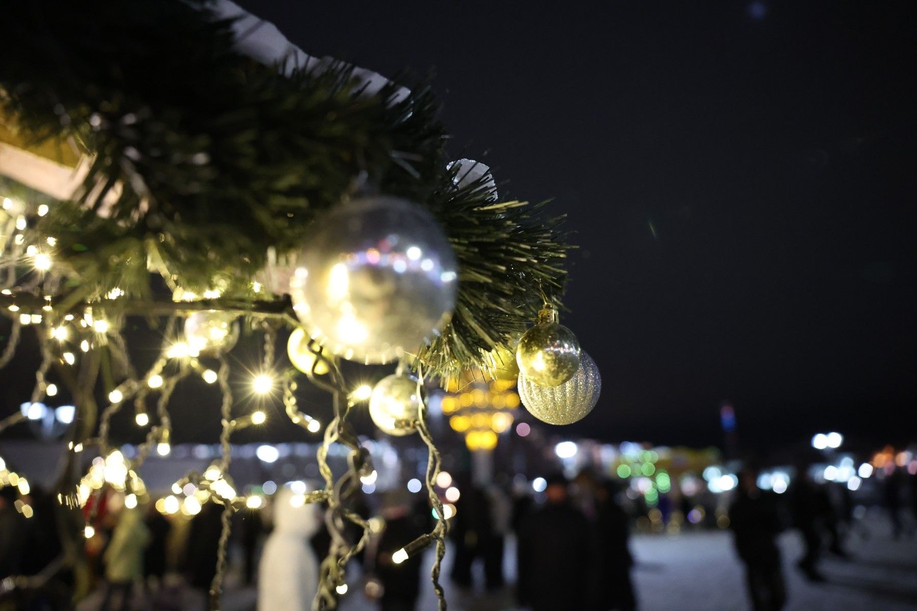 © Мария Амелина, Times.by