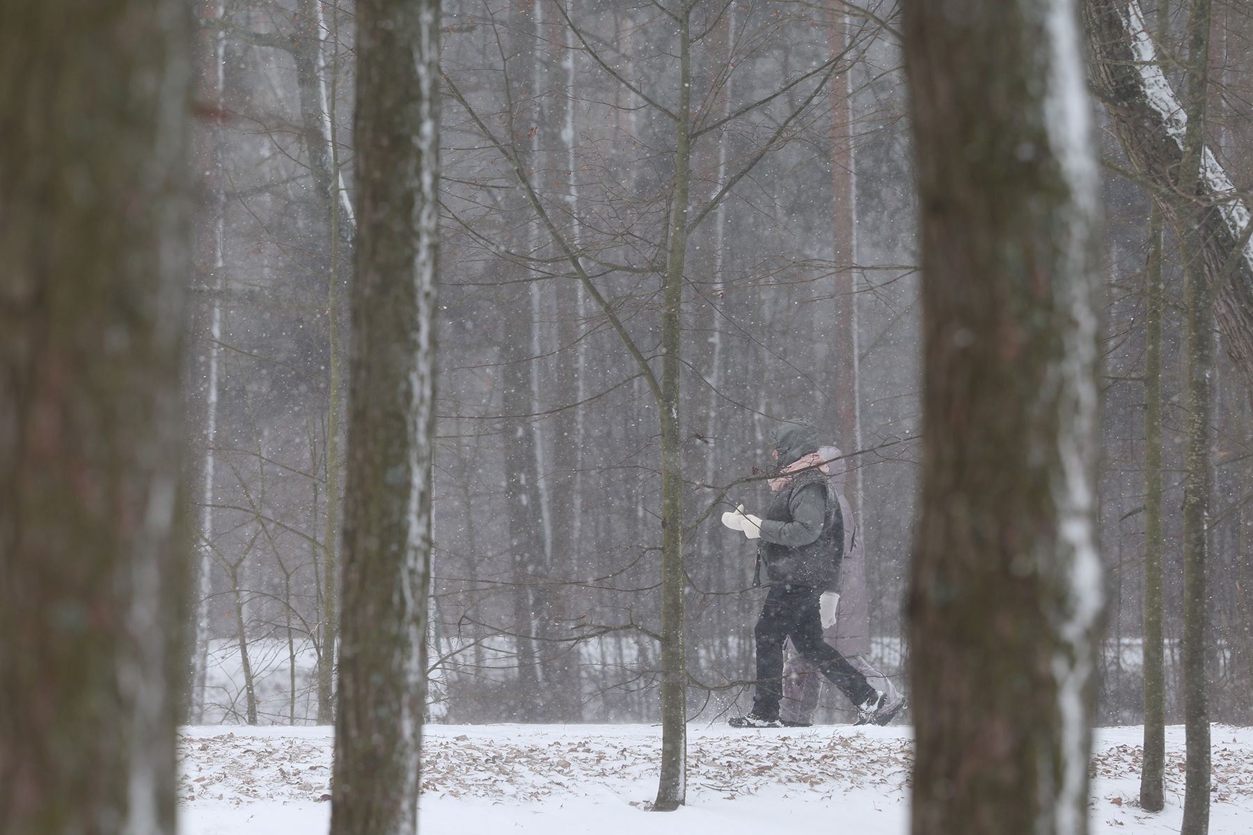 Минское море