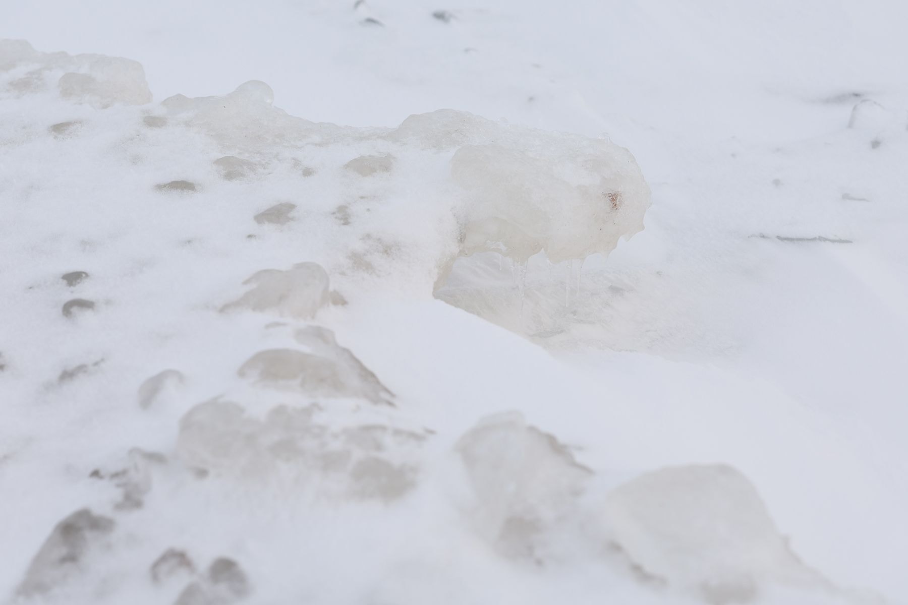 торосы на Минском море