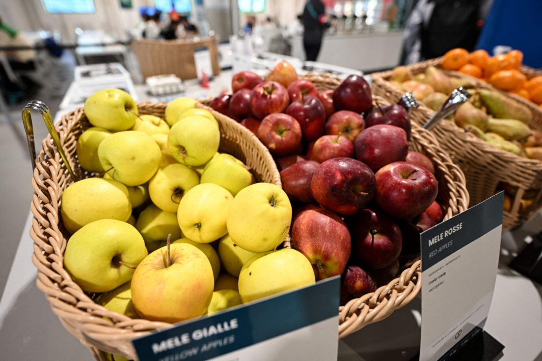 Столовая в олимпийской деревне в Милане. © НОК Беларуси